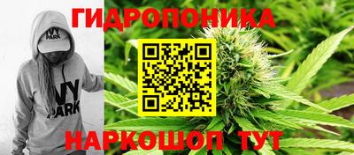 индика Балашиха