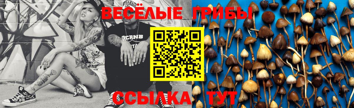 Гусев  Галлюциногенные грибы мицелий  Вход с VPN 